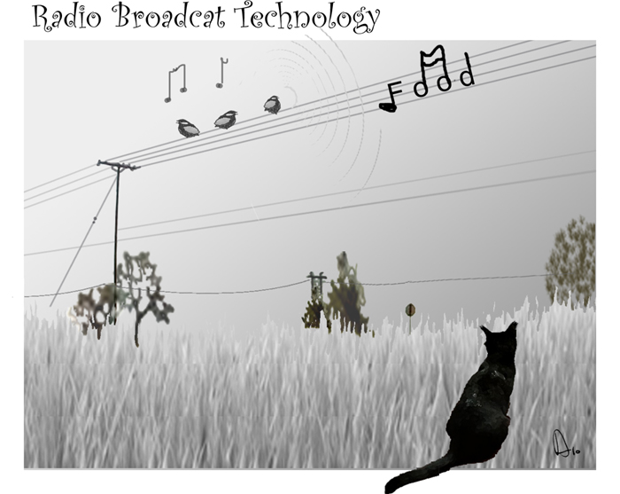 Radio Broadcat Technology