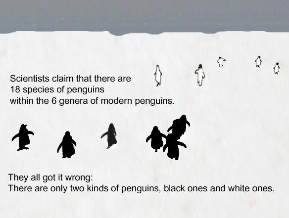 Black and white penguins