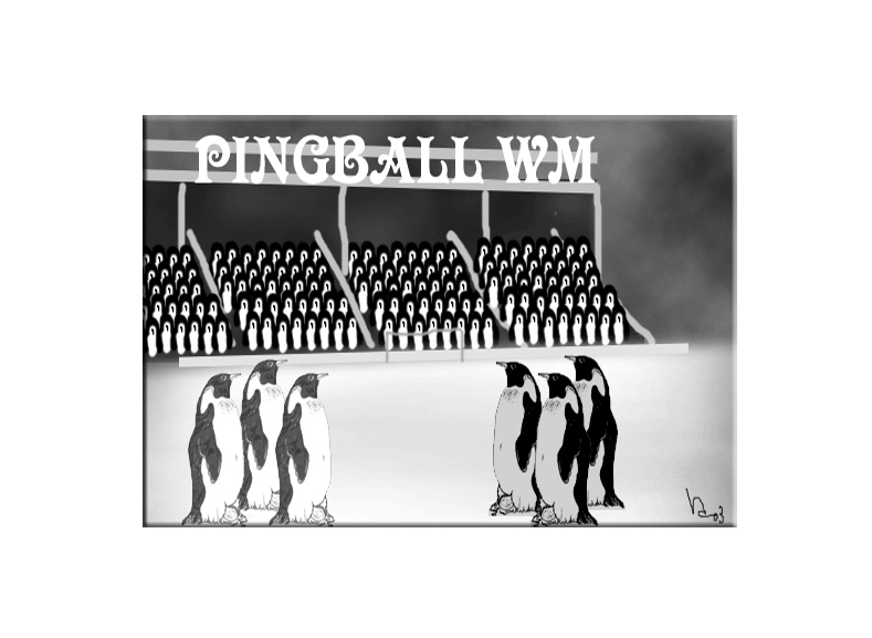 Pingball WM